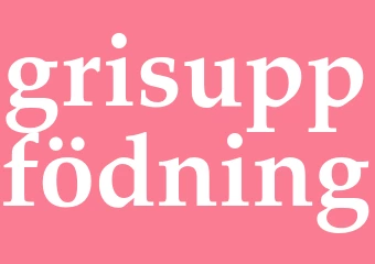Synonym grisuppfödning