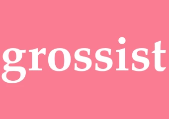Synonym grossist