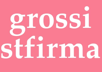 Synonym grossistfirma