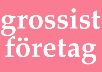 Synonym grossistföretag