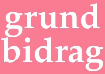Synonym grundbidrag