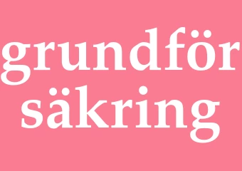 Synonym grundförsäkring