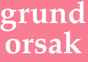 Synonym grundorsak