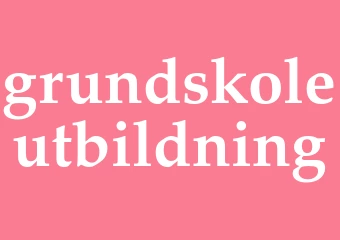 Synonym grundskoleutbildning