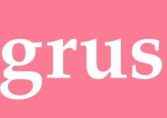 Synonym grus