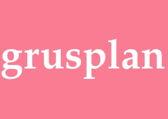 Synonym grusplan