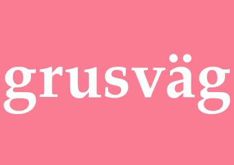 Synonym grusväg
