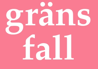Synonym gränsfall