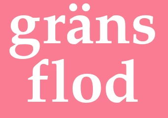 Synonym gränsflod