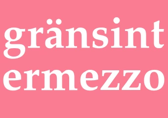 Synonym gränsintermezzo