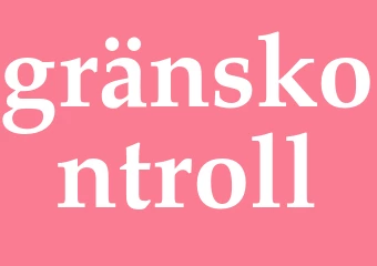 Synonym gränskontroll