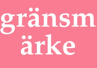 Synonym gränsmärke