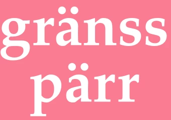 Synonym gränsspärr
