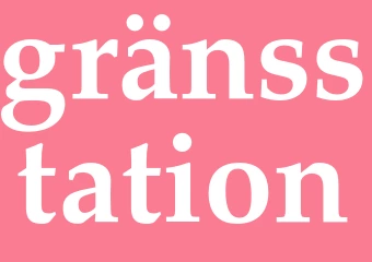 Synonym gränsstation