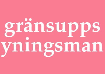 Synonym gränsuppsyningsman