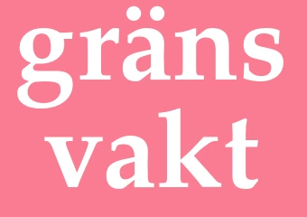 Synonym gränsvakt