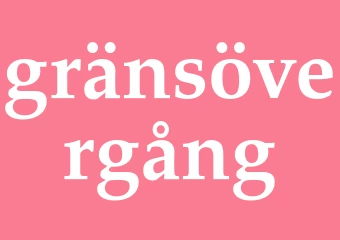 Synonym gränsövergång
