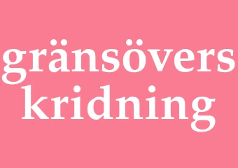 Synonym gränsöverskridning