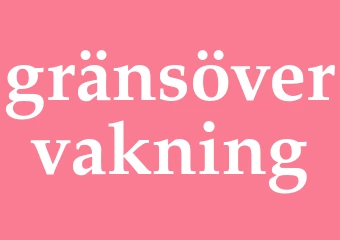 Synonym gränsövervakning