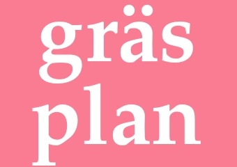 Synonym gräsplan