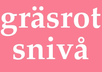 Synonym gräsrotsnivå