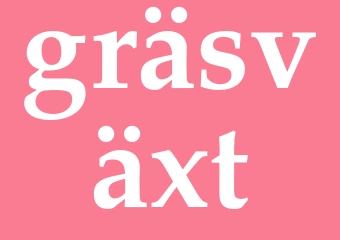Synonym gräsväxt