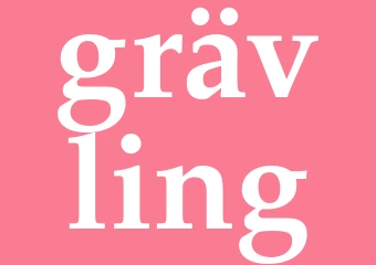 Synonym grävling