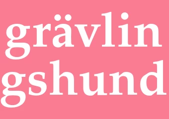 Synonym grävlingshund