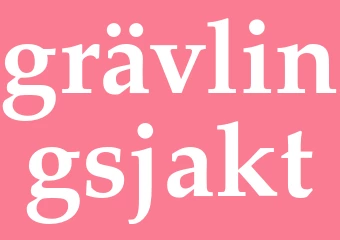 Synonym grävlingsjakt