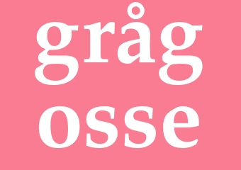 Synonym grågosse