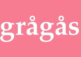Synonym grågås