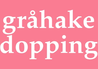 Synonym gråhakedopping