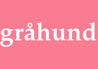 Synonym gråhund