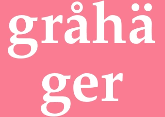 Synonym gråhäger