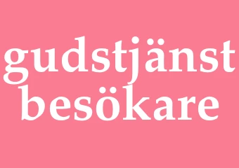 Synonym gudstjänstbesökare