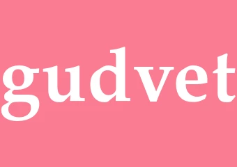 Synonym gudvet