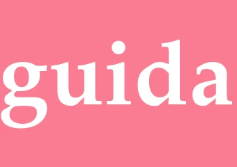 Synonym guida