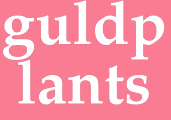Synonym guldplants
