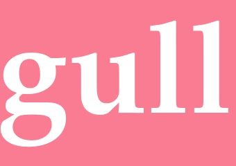 Synonym gull