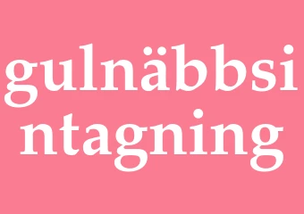 Synonym gulnäbbsintagning