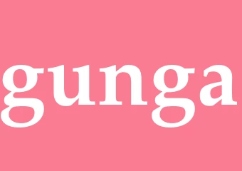 Synonym gunga