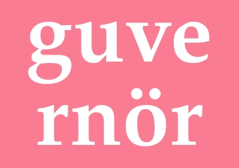 Synonym guvernör