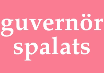 Synonym guvernörspalats