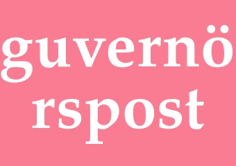 Synonym guvernörspost