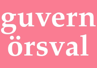 Synonym guvernörsval