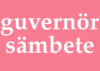 Synonym guvernörsämbete