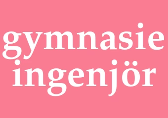 Synonym gymnasieingenjör