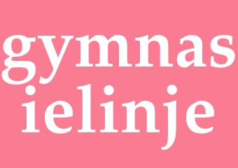 Synonym gymnasielinje