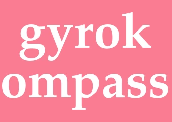 Synonym gyrokompass