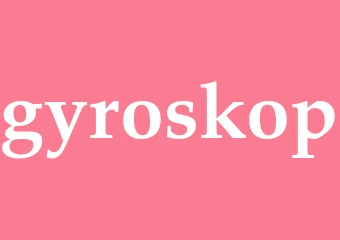 Synonym gyroskop